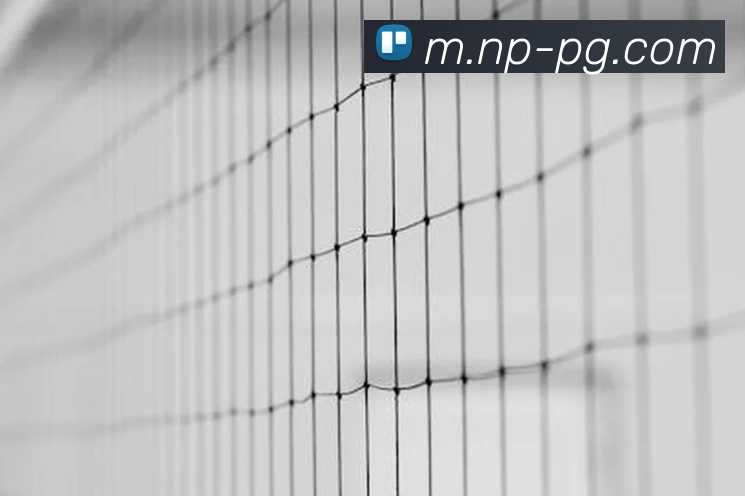 App Interface Preview